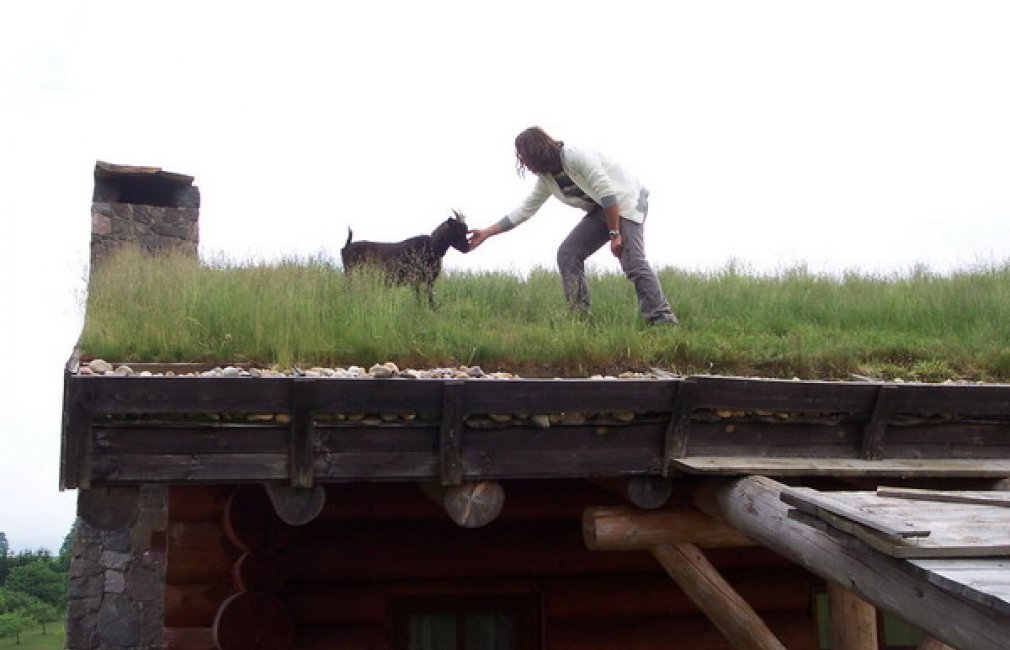 100_2880.jpg